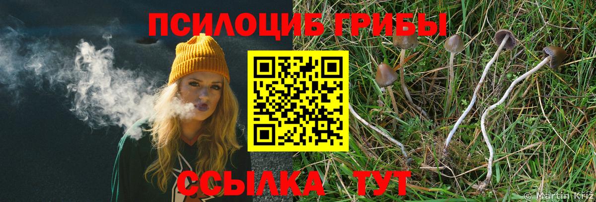 Галлюциногенные грибы Cubensis Печора