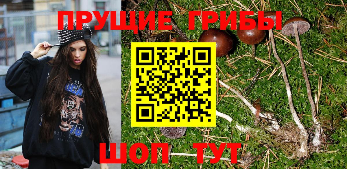 Печора  Галлюциногенные грибы Psilocybe  Галлюциногенные грибы мухоморы  Вход с VPN 